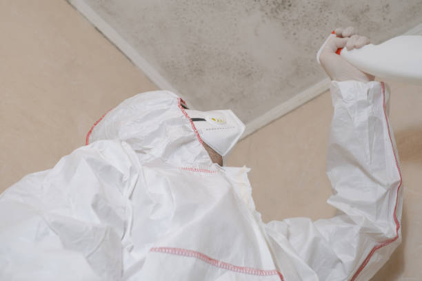 Best Mold Cleaning Services  in Cordes Lakes, AZ